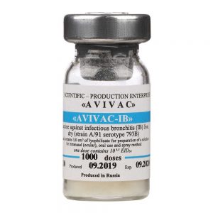 واکسن زنده آویواک برونشیت A/91
