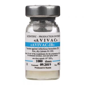 واکسن زنده آویواک برونشیت H-120