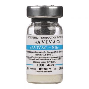 واکسن زنده آویواک نیوکاسل سویه لاسوتا
